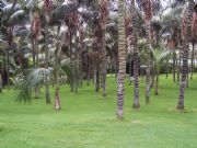 Jardin del Loro Parque